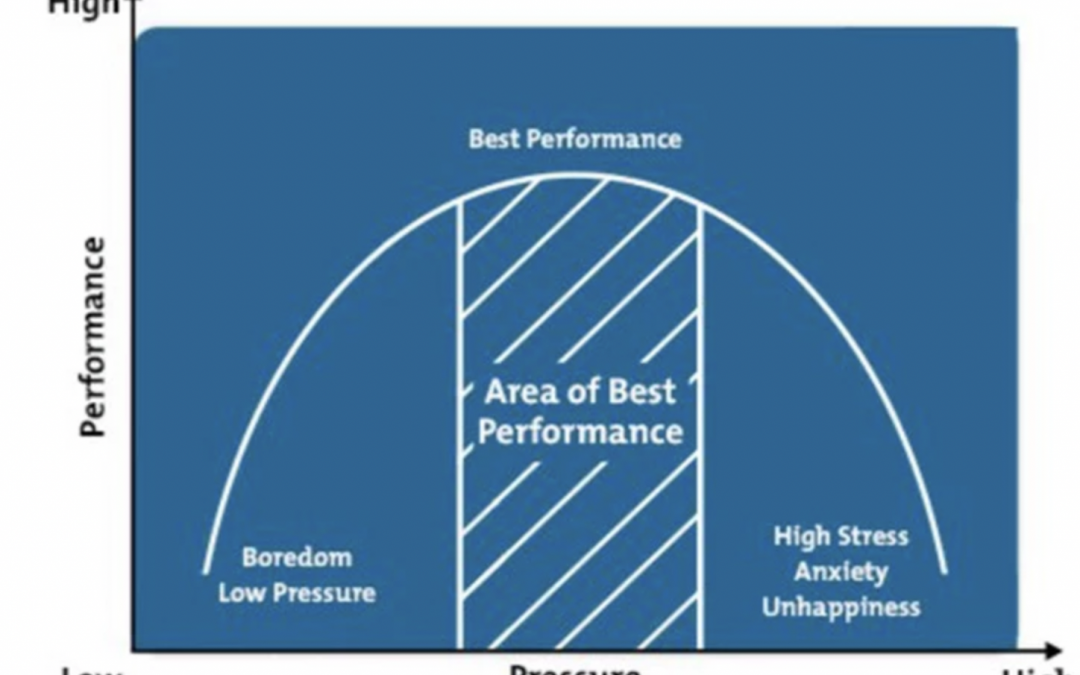 Master Police Coaches – Building a Better Cop